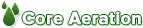 Core Aeration